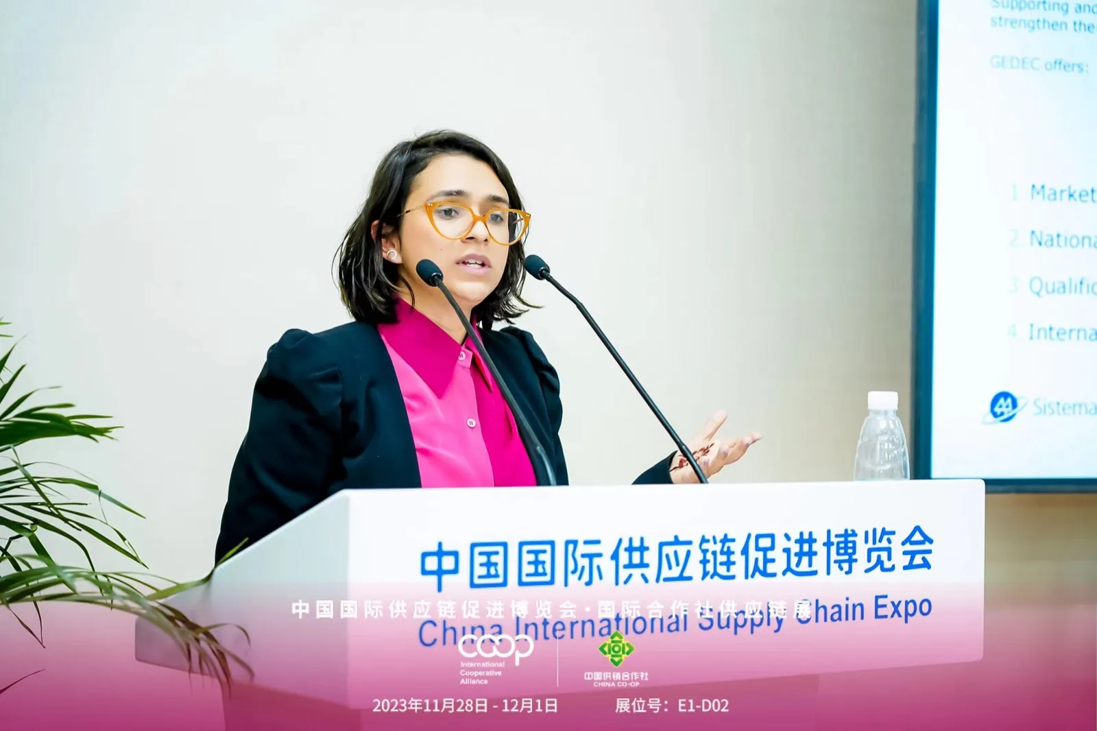 一位代表在论坛发言，背景为中国国际供应链促进博览会主视觉